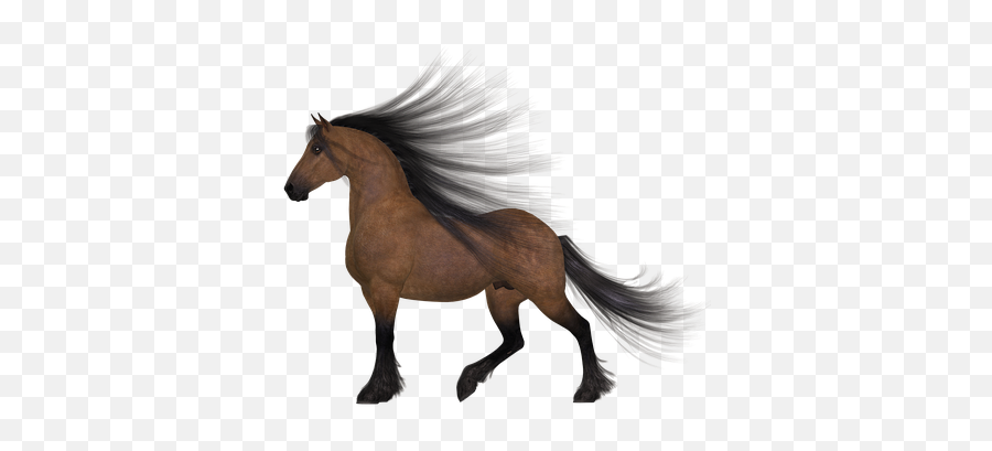 600 Free Wind U0026 Compass Illustrations - Pixabay Horse Emoji,Japan Flag Horse Dancer Music Emoji