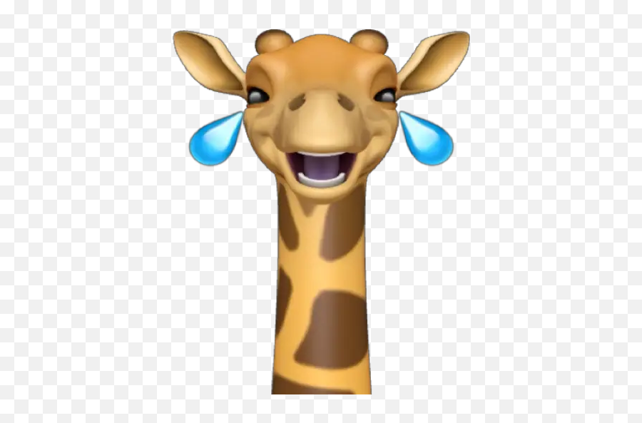 Memoji Jirafa Stickers For Whatsapp - Giraffe Sticker Whatsapp,Giraffe Emoji