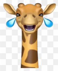 Memoji Jirafa Stickers For Whatsapp - Giraffe Sticker Whatsapp,Giraffe Emoji