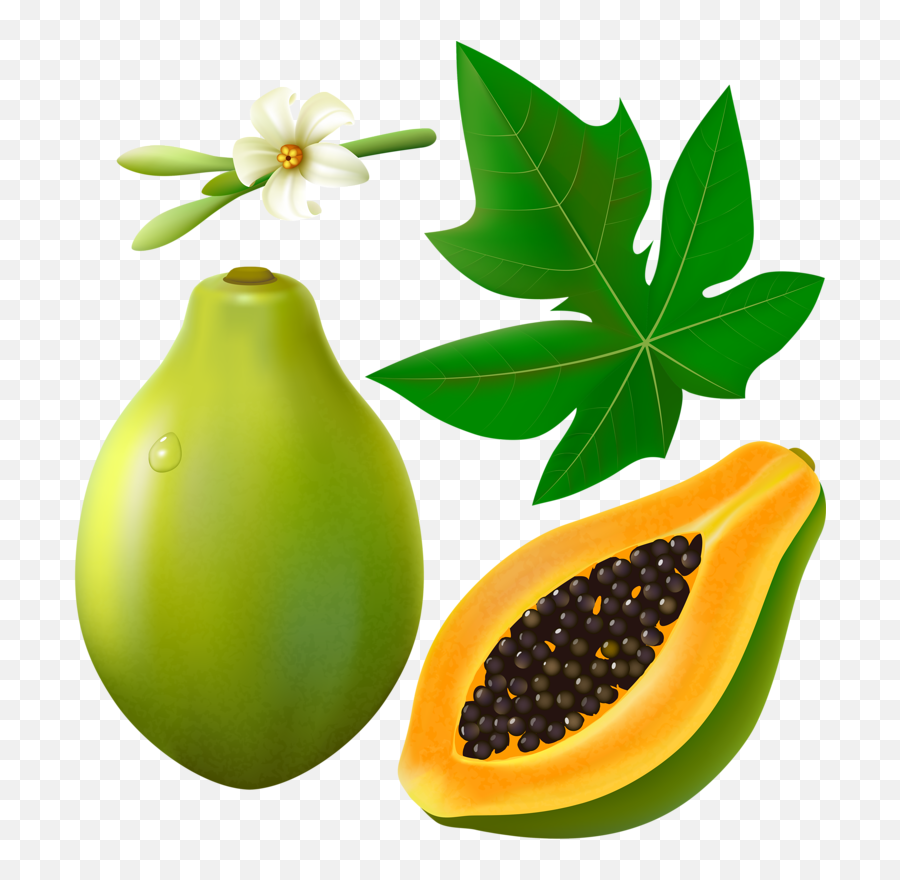 Clipart Images Papaya Clipart Images - Papaya Leaf Clip Art Emoji,Papaya Emoji