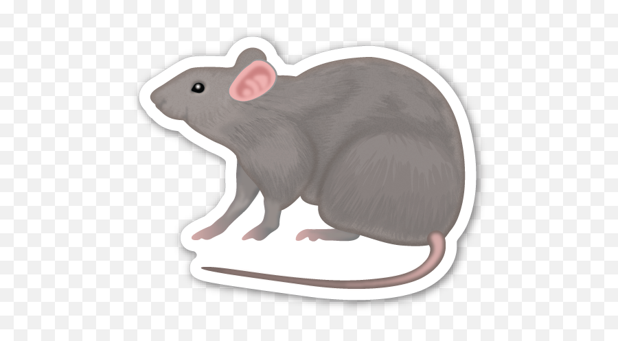 Cute Rats Emoji,Mouse Emoji