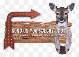 Hunting Trophy Room Emoji,Turkey Hunting Killshot Emojis