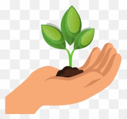 Palliative Care - Paragon Clinical Llc Emoji,Paragon Of Emotion