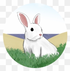 Pearl The Bunny - Domestic Rabbit Emoji,Rabbit Emotions