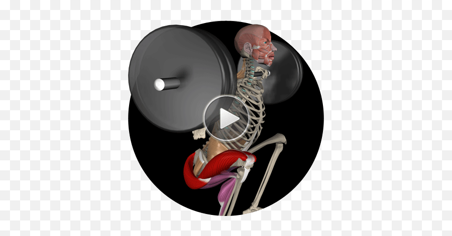 App De Treinamento De Força - Muscle And Motion Squat Emoji,Emoticon Musculo