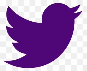 Stallion Spotlight U2014 St Francis Desales High School - Twitter Logo Branding Emoji,How To Write Angry Emoticon Keyboard Twitte R
