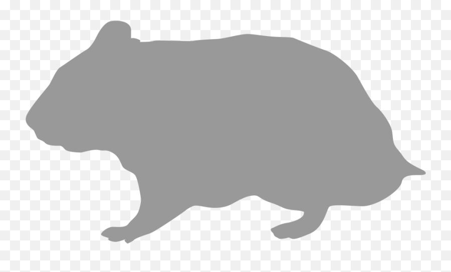 Rodent Hamster Silhouette Gerbil - Hamster Png Download Transparent Hamster Silhouette Emoji,Gerbil Tail Emotions