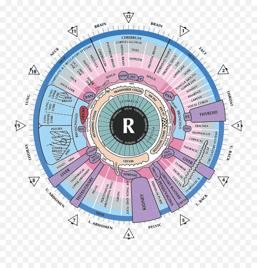 Services Welcome To I - Arise Dot Emoji,Charts Irridology Reflexology Emotions