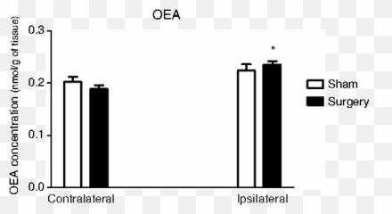 Characterization Of Cerebral Cortical Endocannabinoid Levels - Statistical Graphics Emoji,Surgery Cut Open Brain And No Emotion