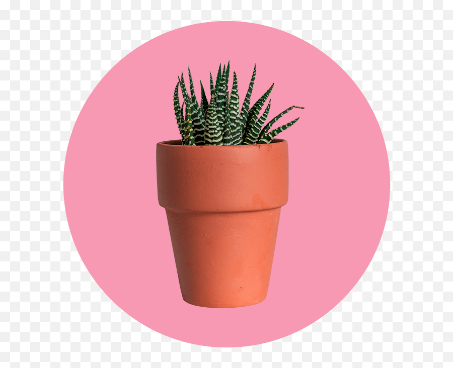 Plants Helps Fight Loneliness - Vertical Emoji,22 Emotions Of Planting Seaso