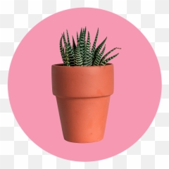 Plants Helps Fight Loneliness - Vertical Emoji,22 Emotions Of Planting Seaso