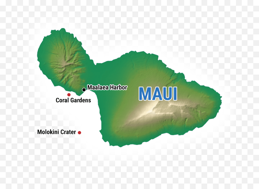 Maui Snorkeling - Molokini Crater U0026 Turtle Gardens Maui Map Png Emoji,Hd Wallpaper Maui High Emotions