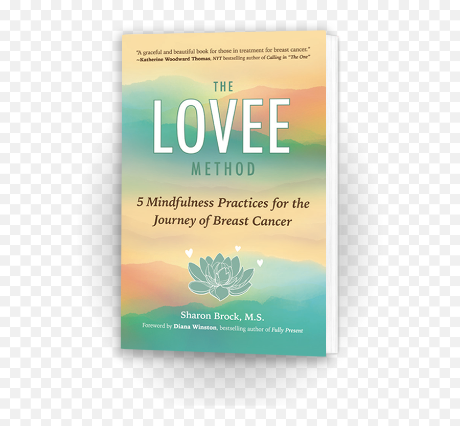 Sharon Brock Mindfulness Emoji,Mindfulness Meditation And Emotions Book
