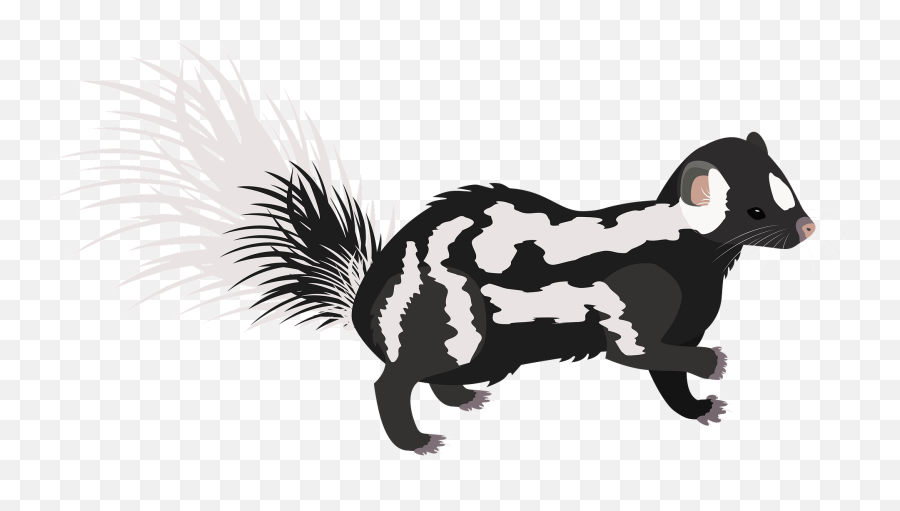 Eastern Spotted Skunk Clipart Free Download Transparent - Animal Figure Emoji,Eastern Emoji Eastern Spotted Skunk Clipart Free Download Transparent - Animal Figure Emoji,Eastern Emoji