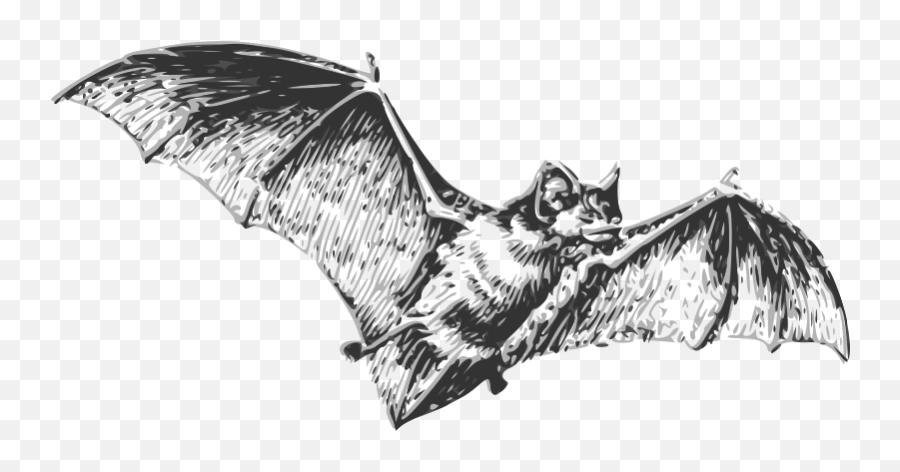 Free Clipart - Page 4 1001freedownloadscom Emoji,Vampire Bat Emoticon