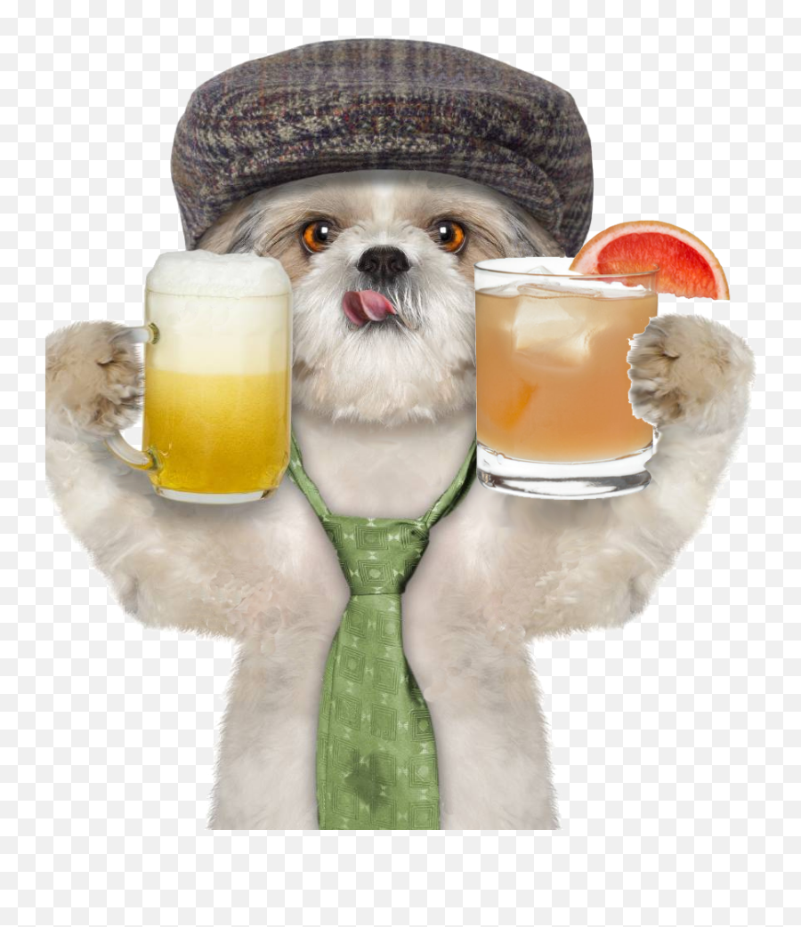 Dog Holding Beers The Humane Society Of Harford County Emoji,What Does The Frog And Coffee Cup Emoji Mean