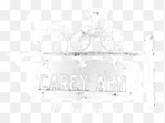 Carey Ahn Photography - Horse Harness Emoji,Emotions Carey