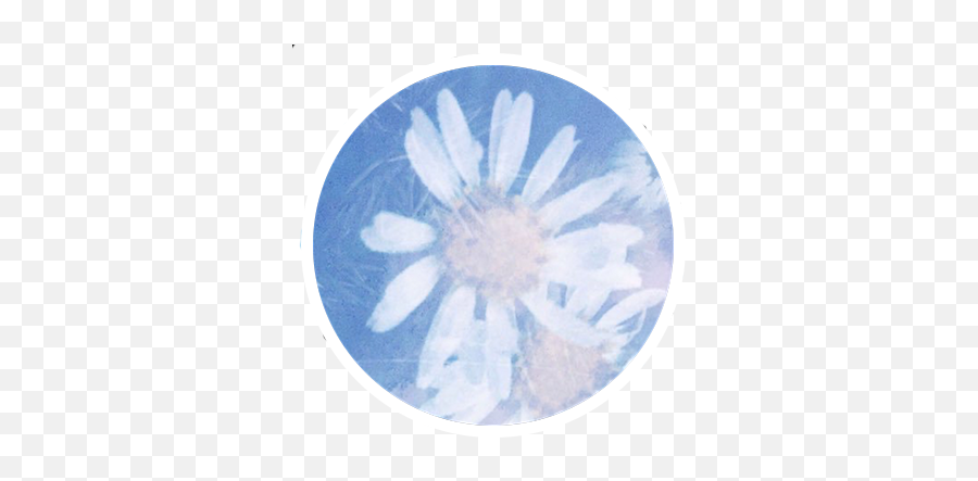 Fleur Sans Cesse - Art Emoji,Fleur Emoji Fleur Sans Cesse - Art Emoji,Fleur Emoji