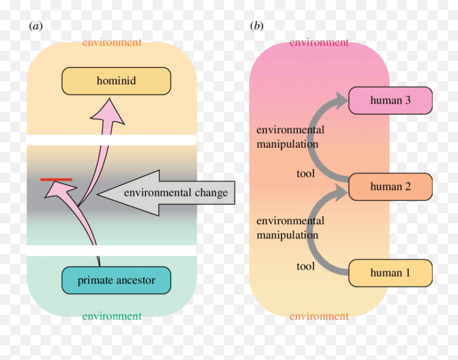 Comparison Of Evolutionary Mechanisms A Before Early - Vertical Emoji,Paleolithic Emotions