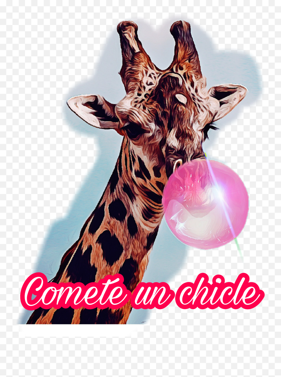 Bazooka Sticker - Northern Giraffe Emoji,Bazooka Emoji