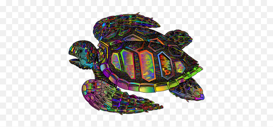 Free Tortoise Turtle Vectors - Tortoise Emoji,Turtle Emotions