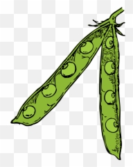 Pea Pod Png Svg Clip Art For Web - Clipart Pea Pod Emoji,Peas In A Pod Emoji