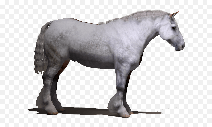Wip - Draft Horse For Daz 3d Millennium Horse Draft Horse Png Emoji,Zmy Emotions Daz3d