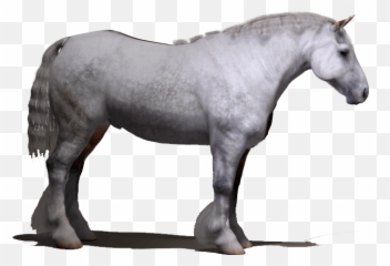 Wip - Draft Horse For Daz 3d Millennium Horse Draft Horse Png Emoji,Zmy Emotions Daz3d