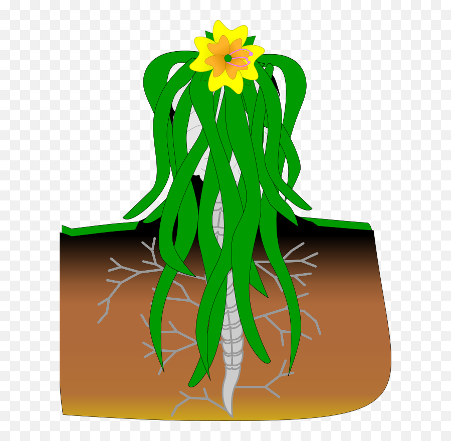 Plant Brain Spine Soil - Columna Vertebral De La Planta Emoji,Emotion Mind Reading Mutants & Masterminds