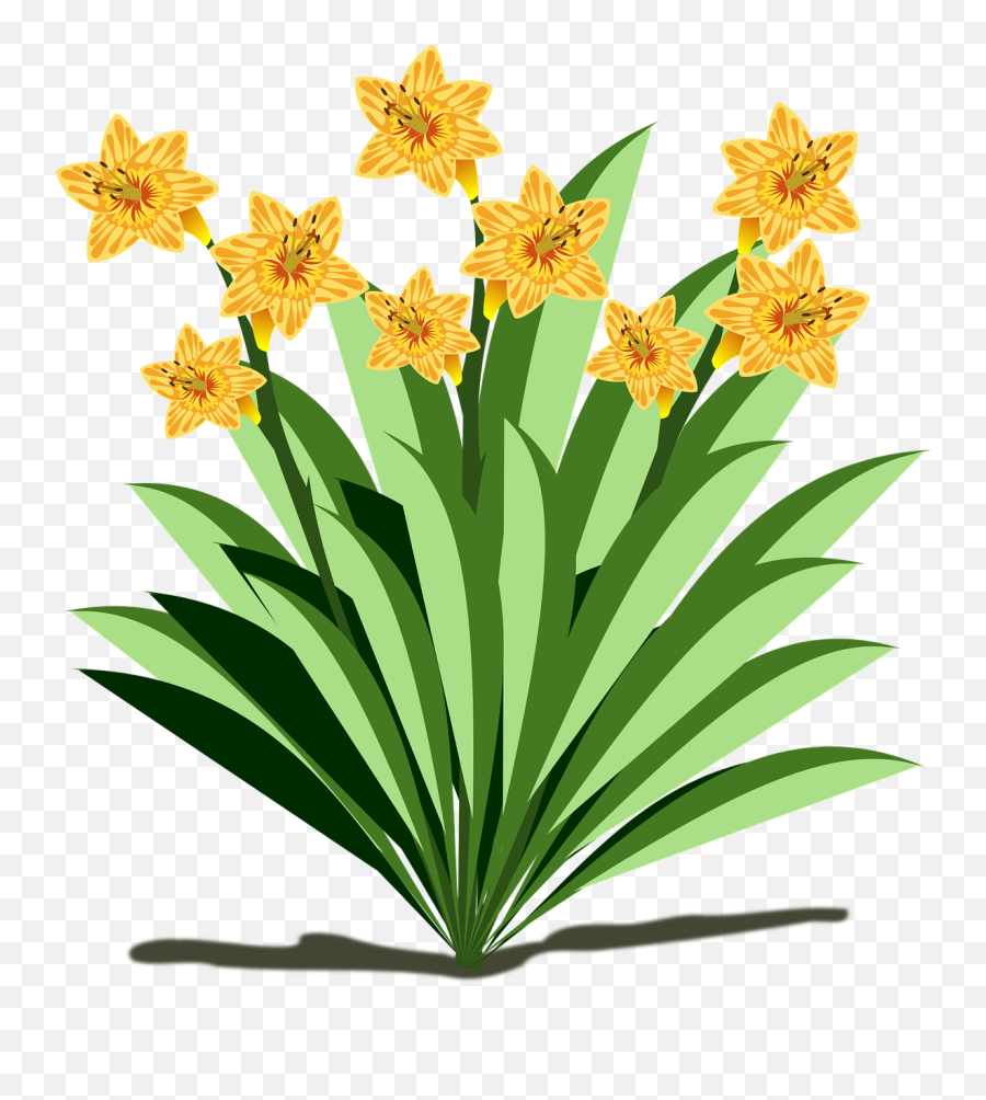 Clip Art Flor Flora Flower Public Domain Image - Freeimg Emoji,Plants Emotions Art