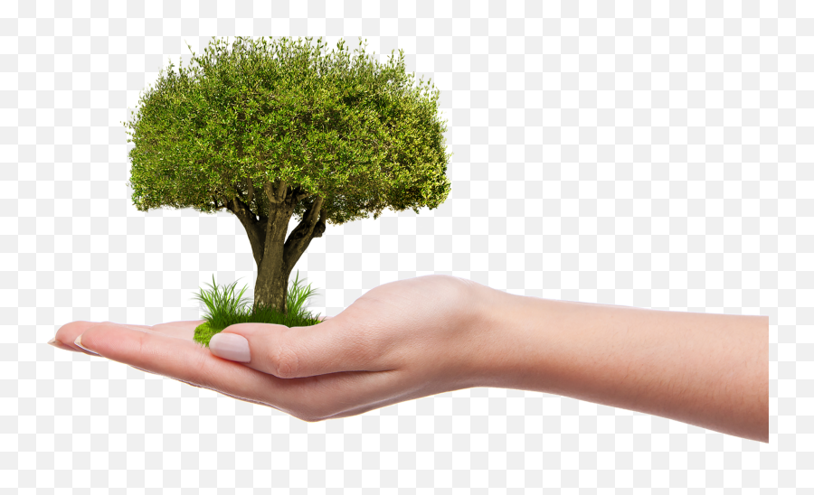 45 Lovely Garden Quotes - Save Tree Images Png Emoji,22 Emotions Of Planting Seaso