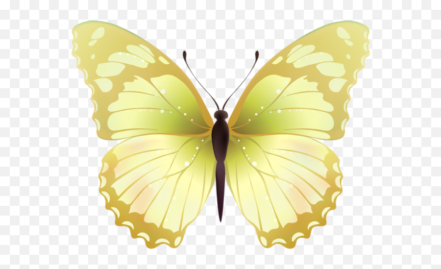 98 Ideias De Borboletas Em 2021 Borboletas Borboletas - Blue Violet Butterfly Png Emoji,Bobunny Emoji