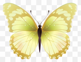 98 Ideias De Borboletas Em 2021 Borboletas Borboletas - Blue Violet Butterfly Png Emoji,Bobunny Emoji