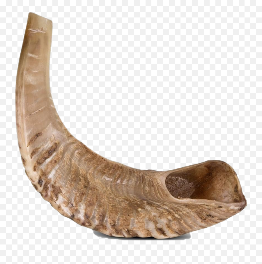 Shofar Transparent Background - Shofar Transparent Background Emoji,Shofar Emoji