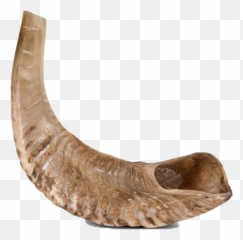 Shofar Transparent Background - Shofar Transparent Background Emoji,Shofar Emoji