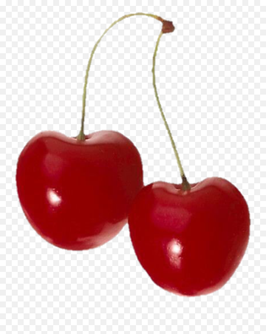 Aesthetic Cherry Sticker - Niche Meme Png Red Emoji,Cherry Cherry Cherry Emoji