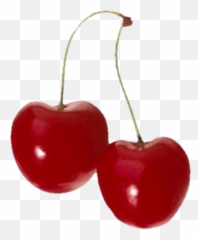 Aesthetic Cherry Sticker - Niche Meme Png Red Emoji,Cherry Cherry Cherry Emoji