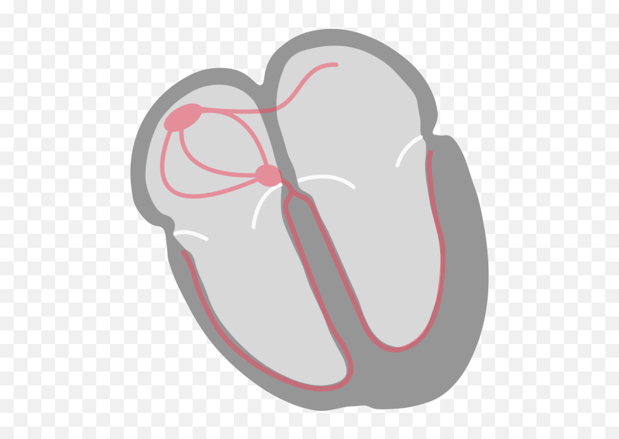 The Cardiac Cycle P - Qrst Nucleotype Emoji,:-p Emoji