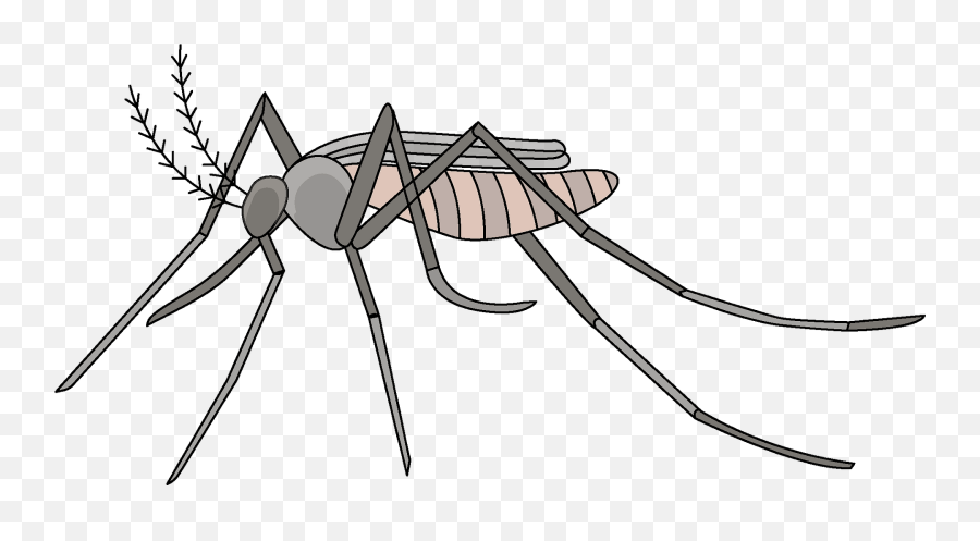 Mosquito Clipart - Mosquito Clipart Emoji,Mosquito Emoji