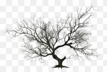 Dead Tree Png Official Psds - Png Dead Tree Emoji,Dead Emoji Png