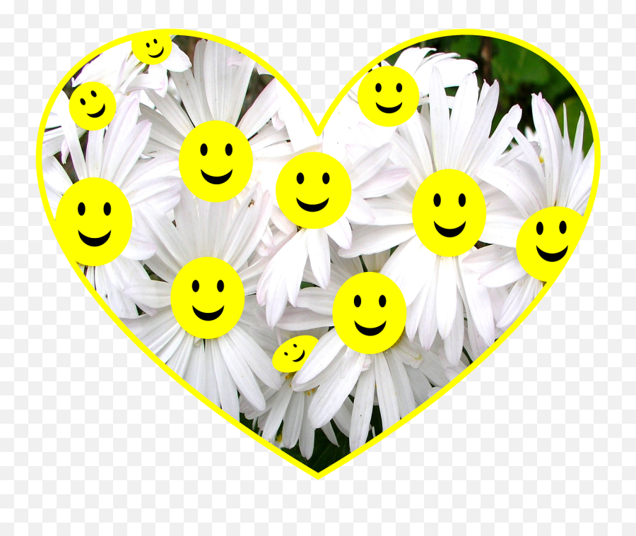 Happyfacedaisyflowerssmiley - Free Image From Needpixcom Flowers And Smiley Emoji,Smiling Flower Emoticon
