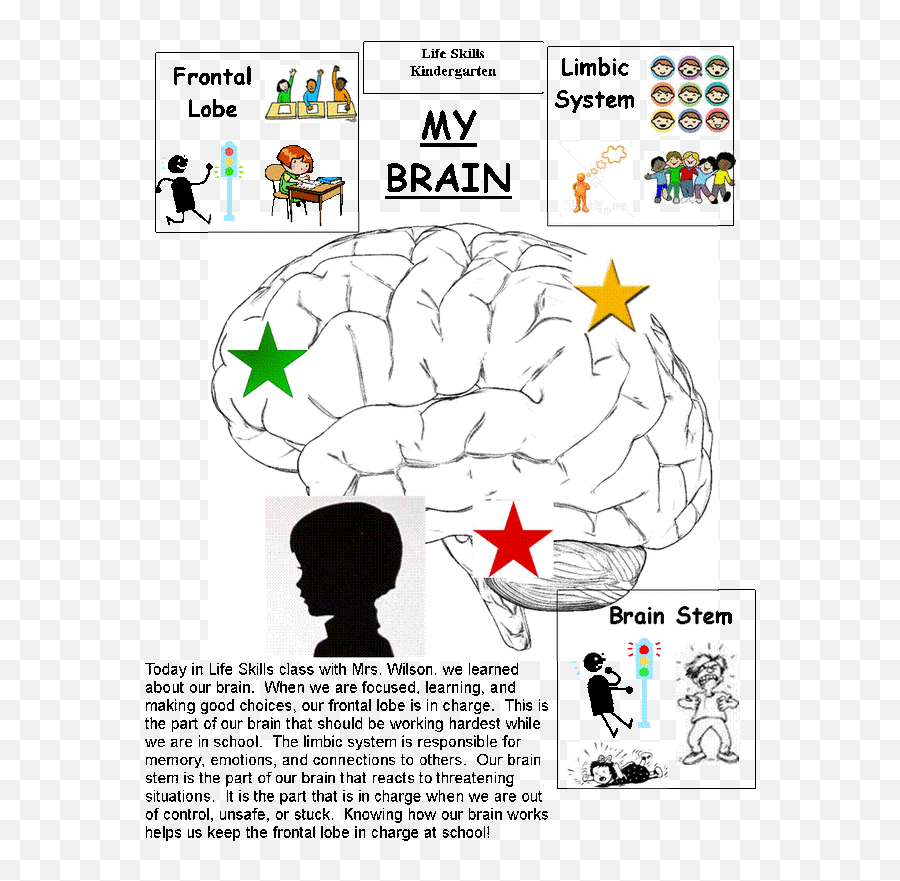 The Brain - Meadowbrook School Counseling Bandera De Panama Emoji,Emotion Brain