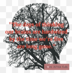The Power Of Your Beliefs - Tree Of Knowledge Silhouette Emoji,Emotions Losing What Needs To Be Lost Dispanza