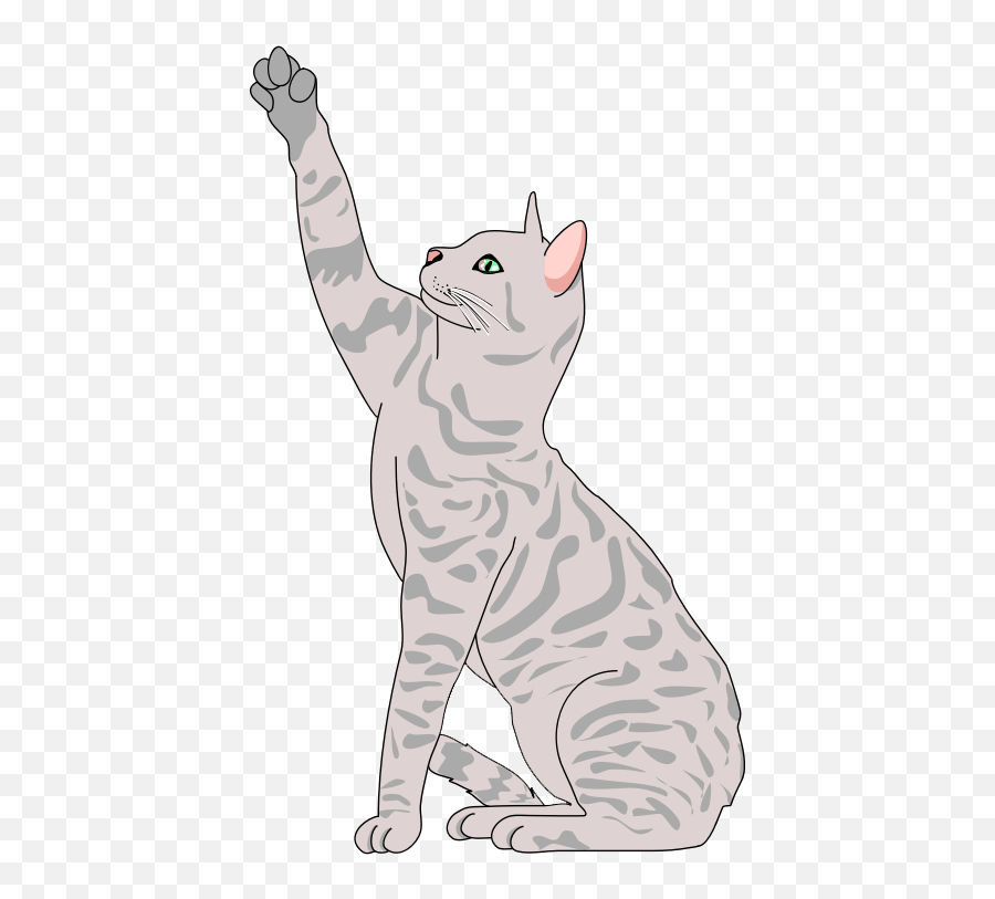Cat Png Clipart 28 Image Download Vector - Clip Art Cats Realistic Emoji,Grey Cat Emoticons For Facebook