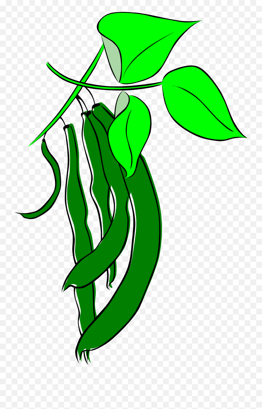 Drawing Of A Leguminous Plant Free - Green Beans Clipart Emoji,22 Emotions Of Planting Seaso