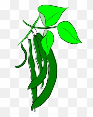 Drawing Of A Leguminous Plant Free - Green Beans Clipart Emoji,22 Emotions Of Planting Seaso