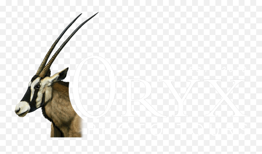 Serengeti Part 1 - Oryx Emoji,Hyena Emoji