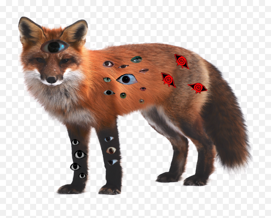 Discover Trending Raposa Stickers Picsart - Arctic Red Fox Png Emoji,League Of Legends Sona Emoticon