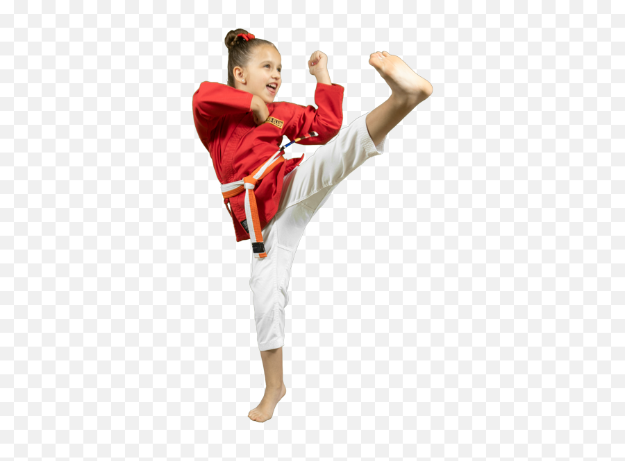 Gallery Emoji,Karate Kick Girl Emoticon