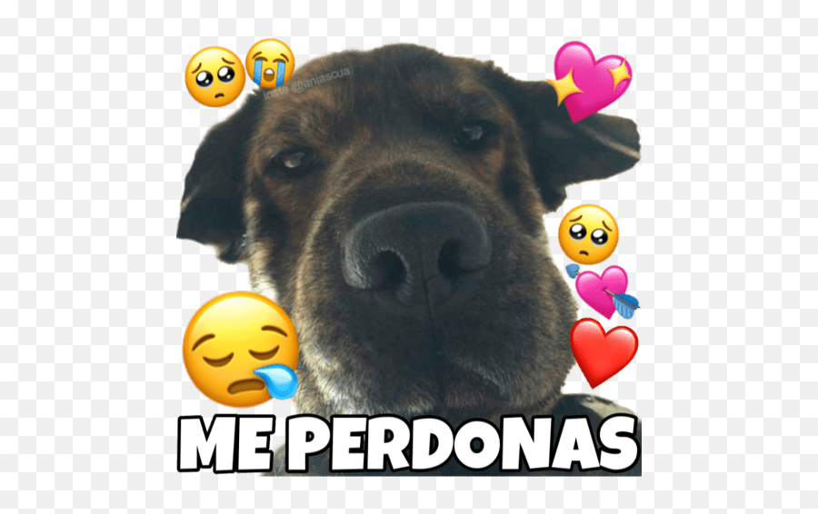 Perrito Cute Emoji,Dog On Bumm Emoticons